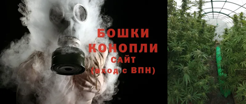 Конопля SATIVA & INDICA  Звенигород 